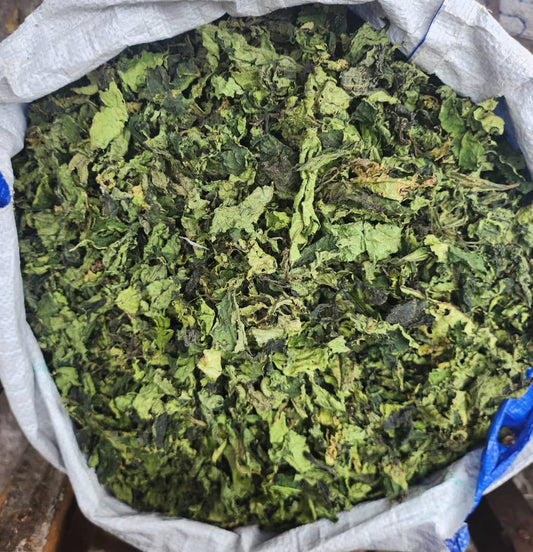 Dried Ugwu leaves