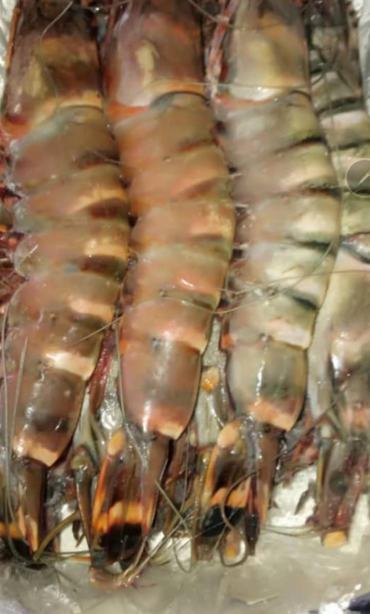 Tiger Prawns